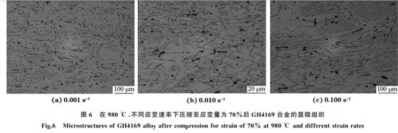 圖６ 在９８０ ℃、不同應(yīng)變速率下壓縮至應(yīng)變量為７０％
